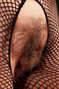 a woman is taking a deep cock in her hairy pussy